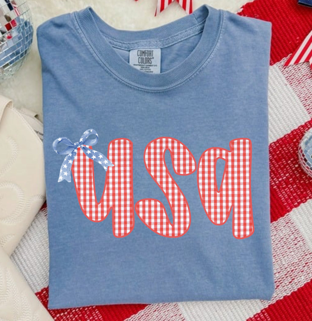 GINGHAM USA COMFORT COLOR TEE