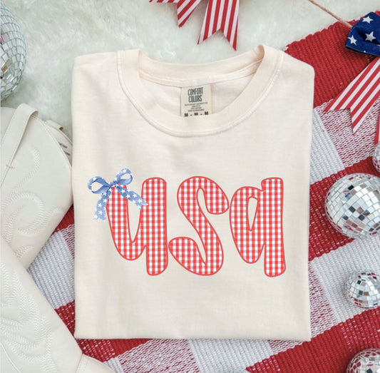 GINGHAM USA COMFORT COLOR TEE