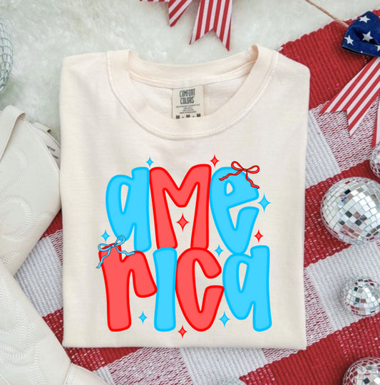 PREPPY AMERICA COMFORT COLOR TEE