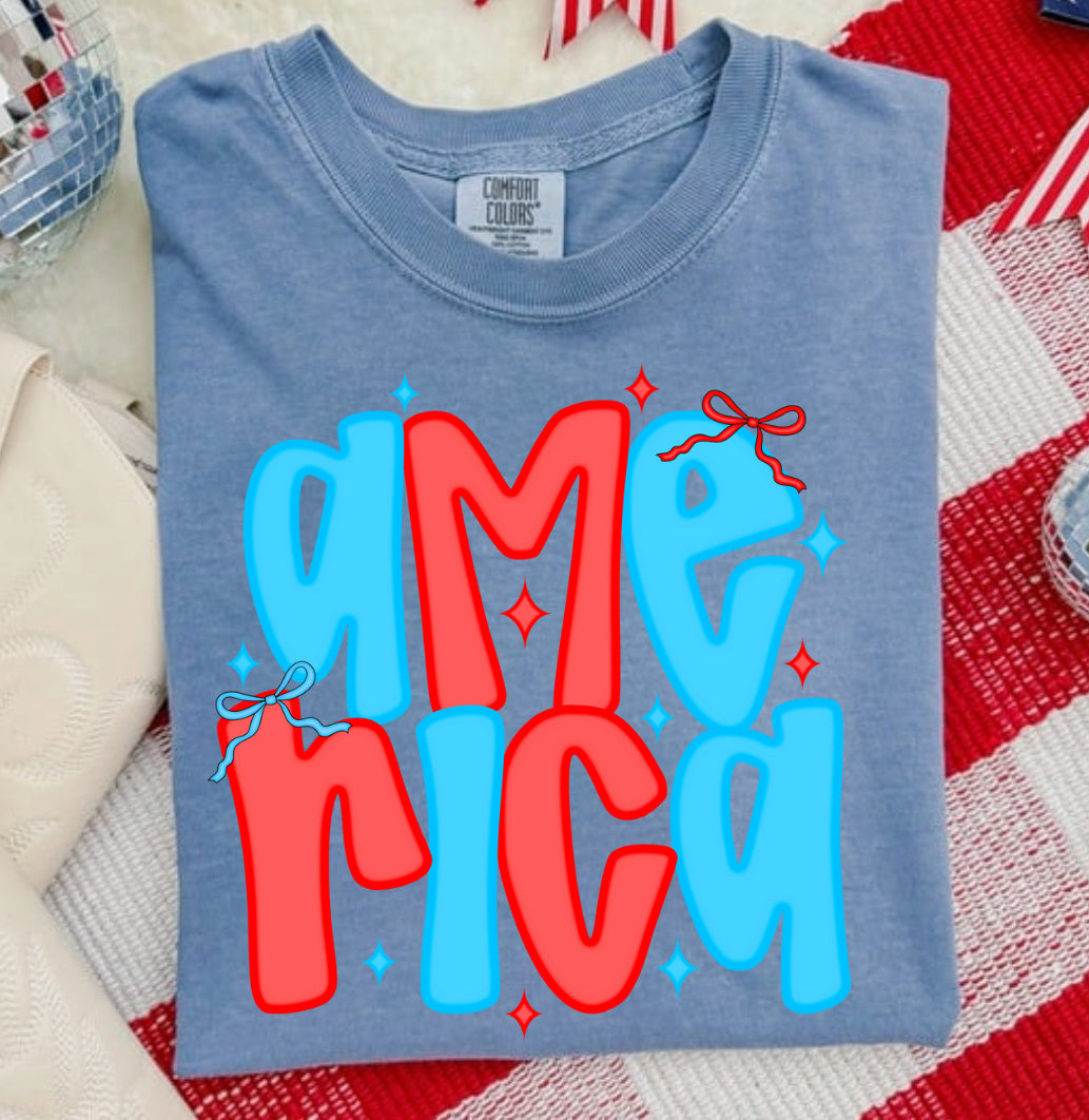 PREPPY AMERICA COMFORT COLOR TEE