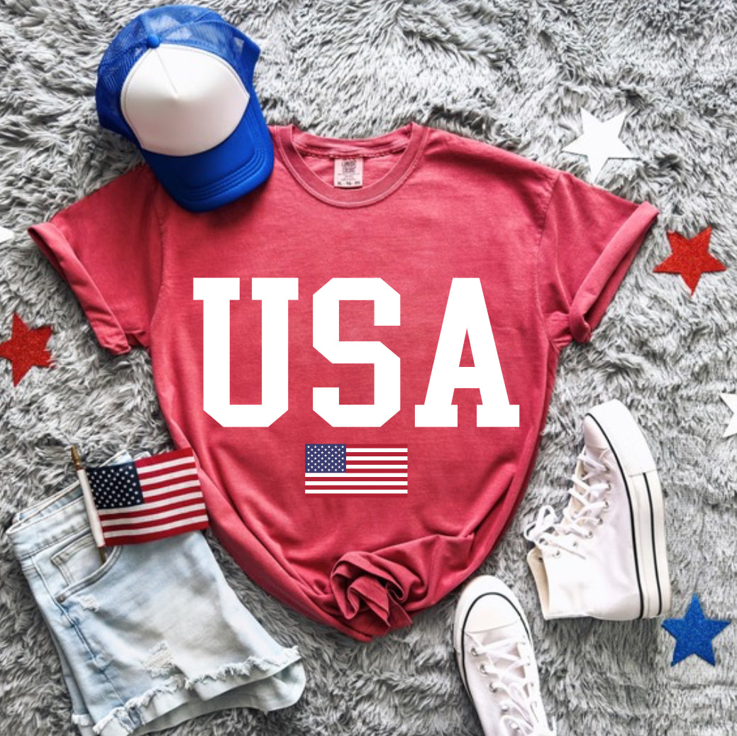 USA WITH FLAG COMFORT COLOR TEE