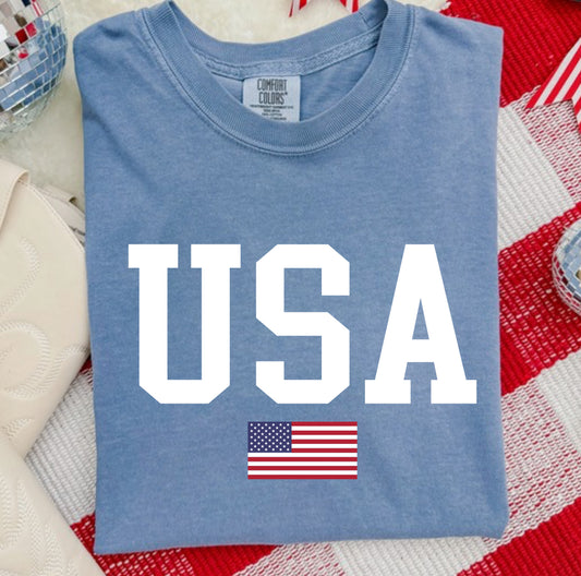 USA WITH FLAG COMFORT COLOR TEE